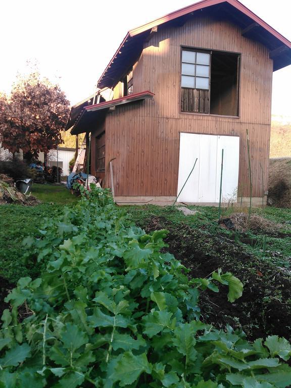 הוילה Nakano  Madarao Farm מראה חיצוני תמונה